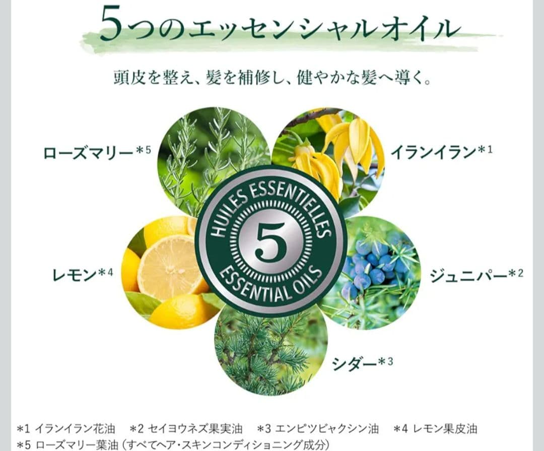 未使用オマケ付 L'OCCITANE シャンプー コンディショナー スカルプケア