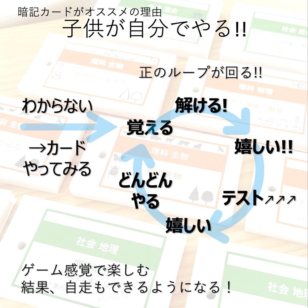 中学受験 暗記カード【4年上ハーフセット 社会11-19回】組テ対策 予シリ