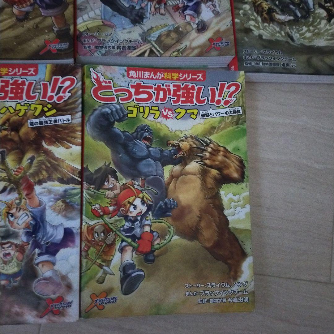 どっちが強いシリーズ まとめ売り