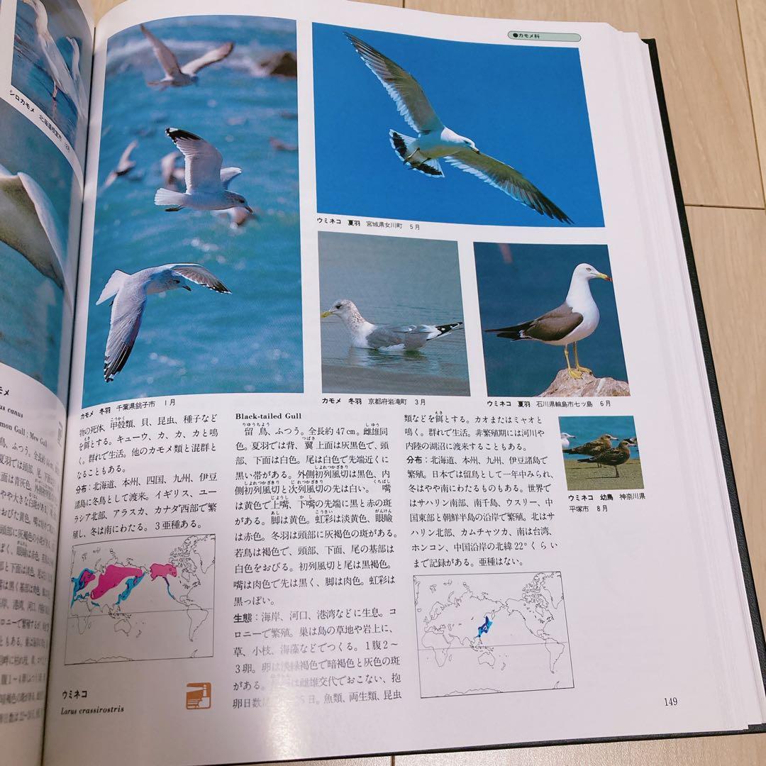 鳥類　世界文化生物大図鑑　鳥類図鑑 カラー図鑑
