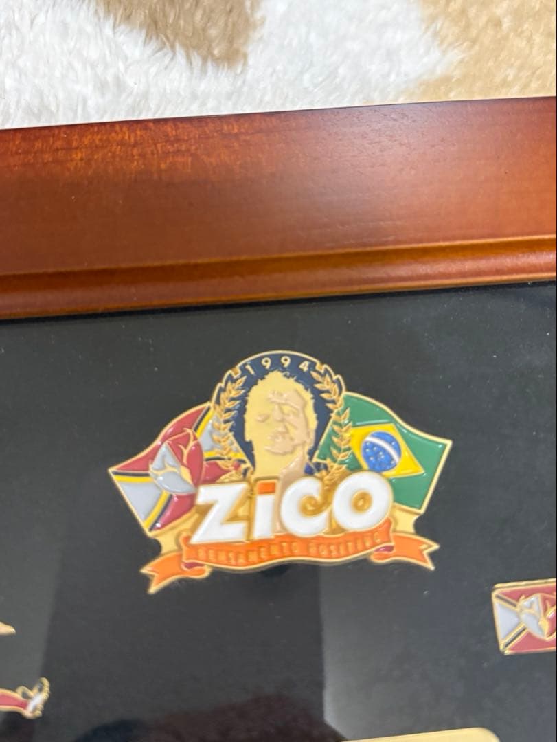 zico ジーコ　ピンズセット　額入り1994サッカーJリーグ