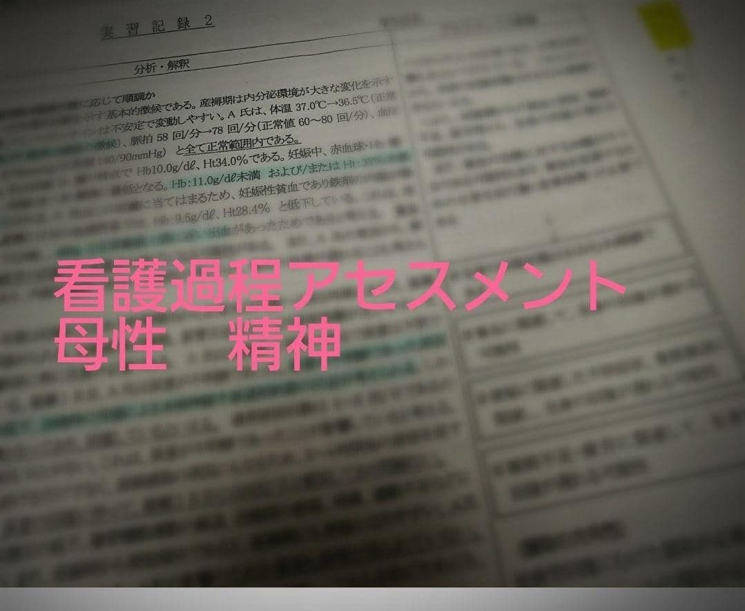 母性看護過程　精神看護過程　小児看護過程　在宅看護過程　基礎看護アセスメント★