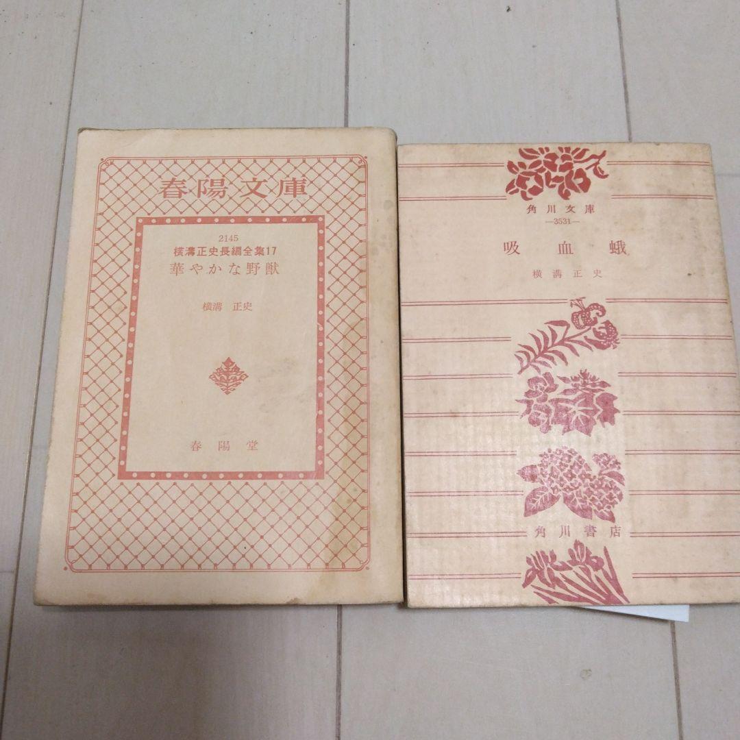 横溝正史　文庫本セット24冊　カバーなしおまけ2冊付き