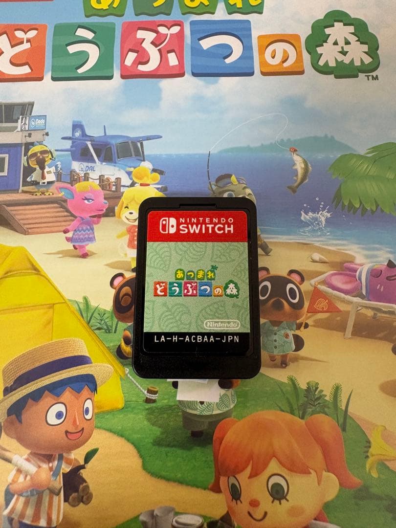Nintendo Switch liteとあつまれどうぶつの森 セット