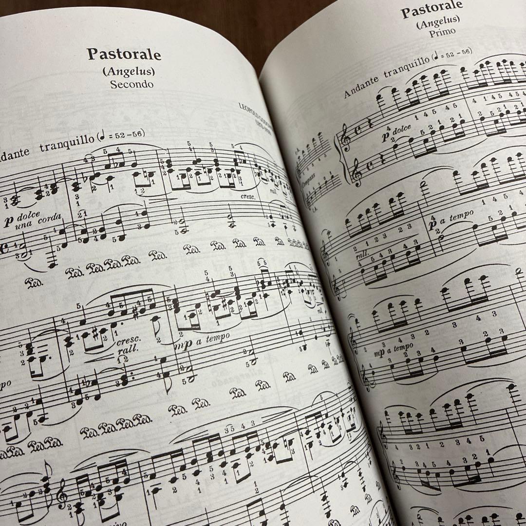 アート・デザイン・音楽 Godowsky/ Collection Vol. 5 CARL FISCHER