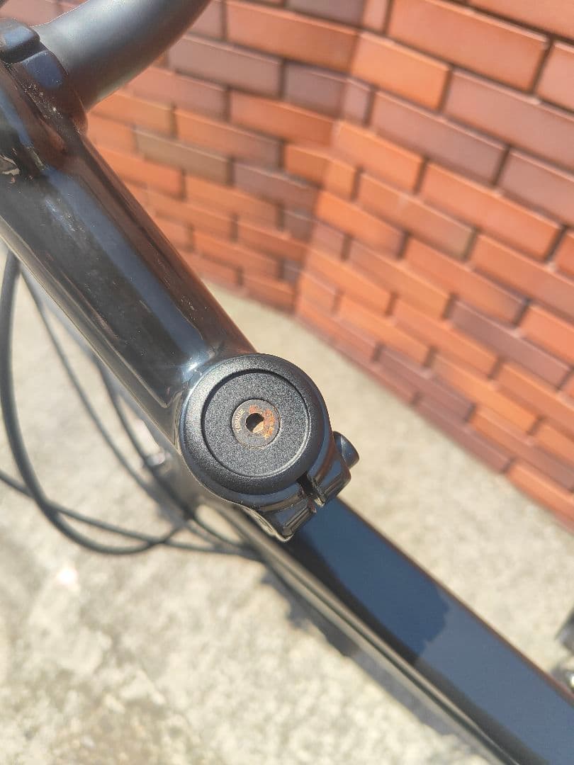 Trek FX1 Disc Satin Trek Black Lサイズ
