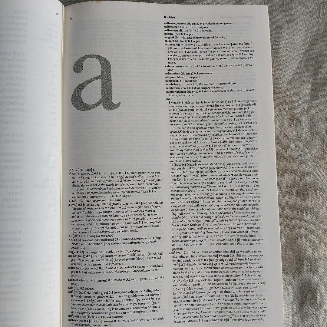 蘭英辞典（van Dale Groot woordenboek N-E第2版）