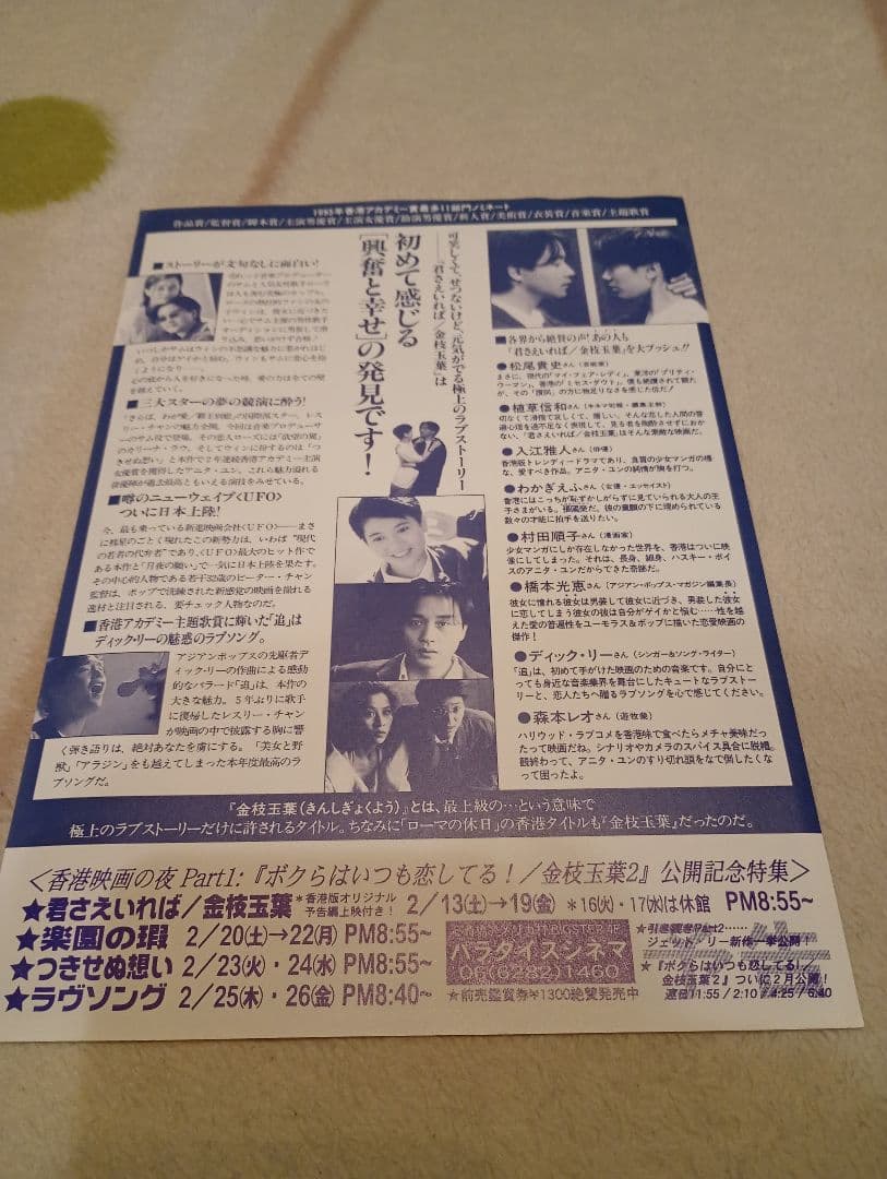 香港映画　君さえいれば 金枝玉葉DVD＋パンフレット＋チラシ