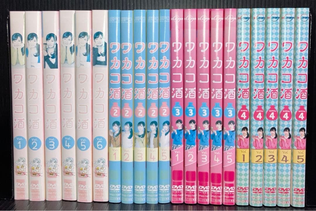 ワカコ酒　シーズン1 2 3 4 DVD 全21枚