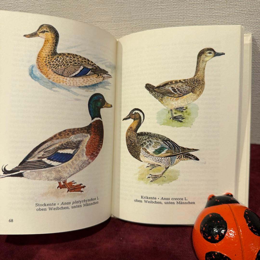 320⑦ドイツ語鳥図鑑3冊セット　洋書古書　ジャンクジャーナル　ボタンニカル
