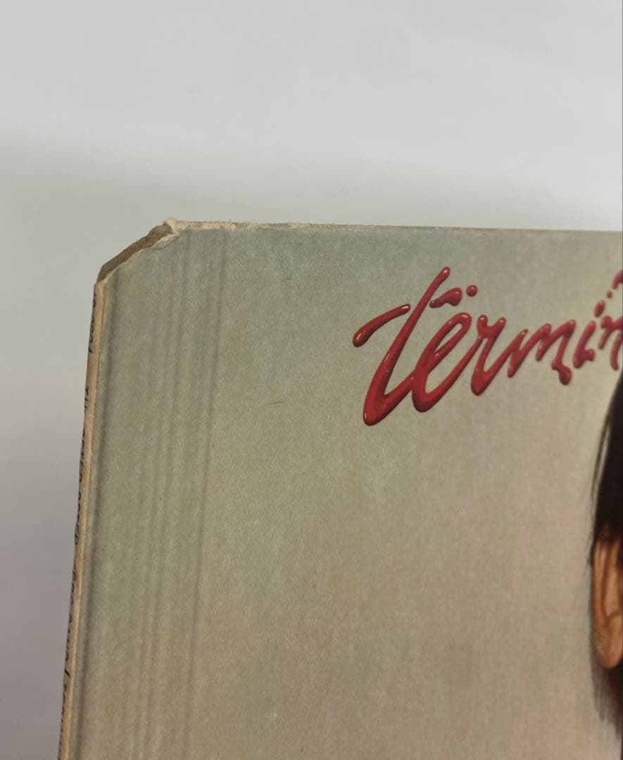ピーターアイバース　PETER IVERS TERMINAL LOVE LP
