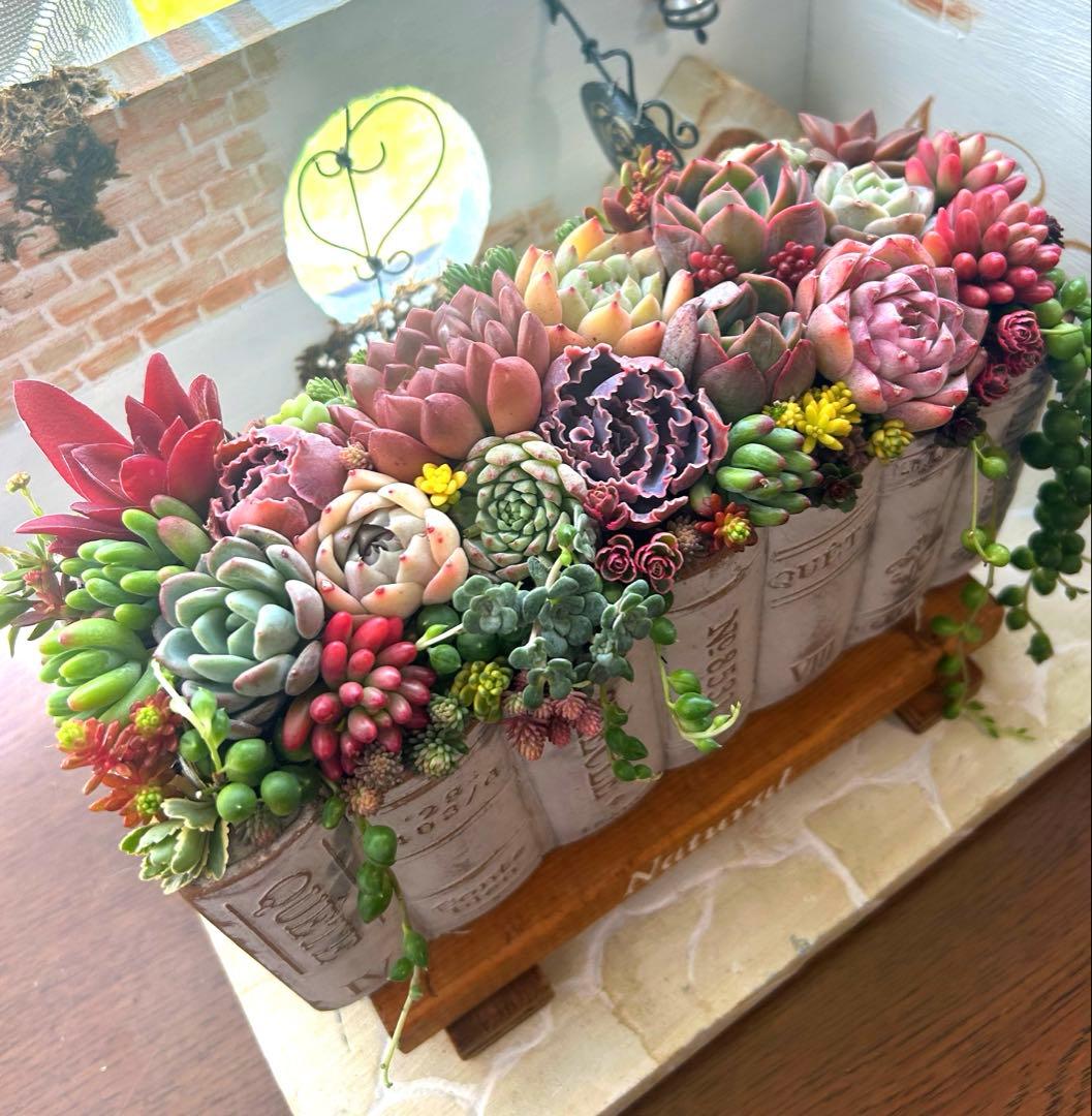 ・:*多肉植物そのまま飾れる・:*洋書ブックプランターアイボリー大きめ・:*