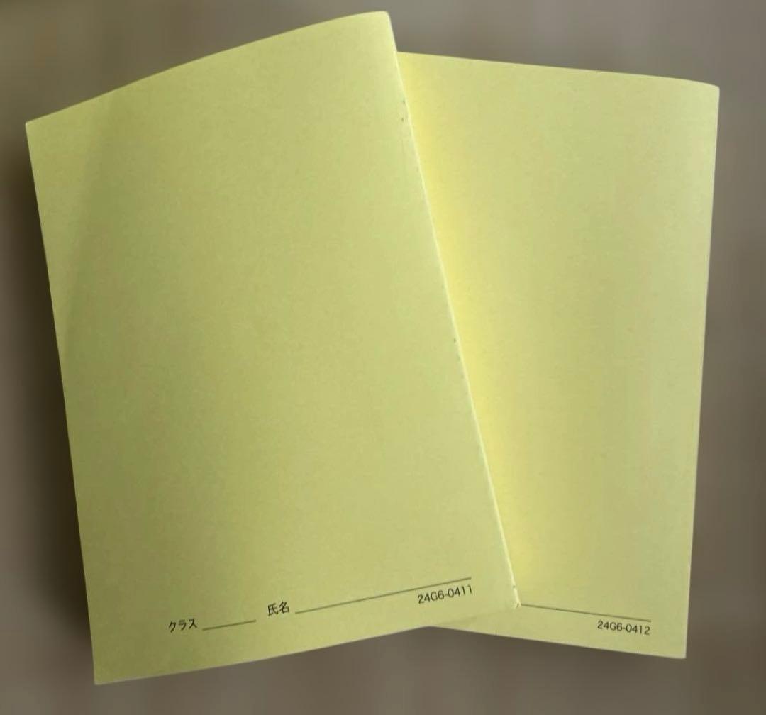鉄緑会　高3化学　2024年度版 「化学発展講座」　上下巻セット