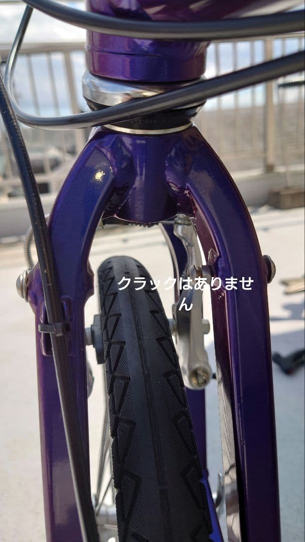 K*a様 r＆m BD-1 Birdy 自転車 折り畳み自転車 ライズアンドミュ