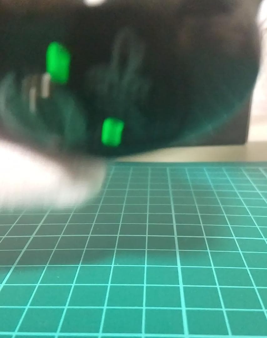 DCリール HAUTTON Cuckoo Wasp 右巻き