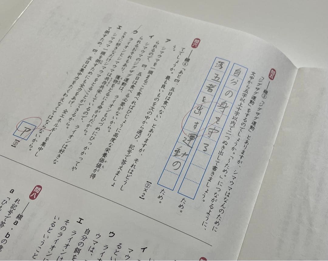 名進研　5年生　前期　国語　コアマスター