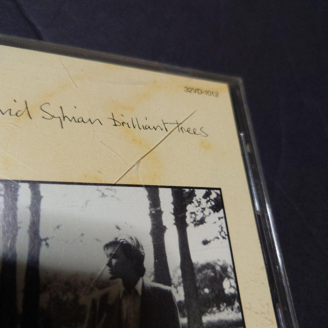 デヴィッド・シルビアン ブリリアント・トゥリーズ 坂本龍一 参加　洋楽CD