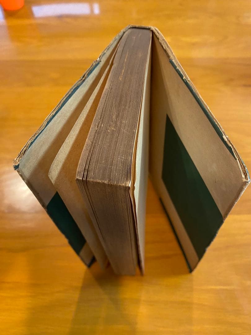 『ユダヤ四千年史』ワルター・ブレヴィッツ著　大同書院
