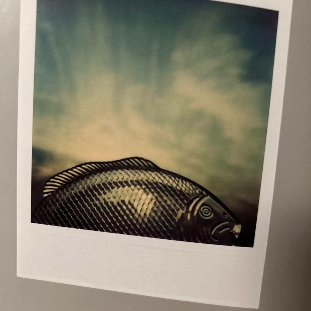 アンドレ・ケルテス作品集『The Polaroids』