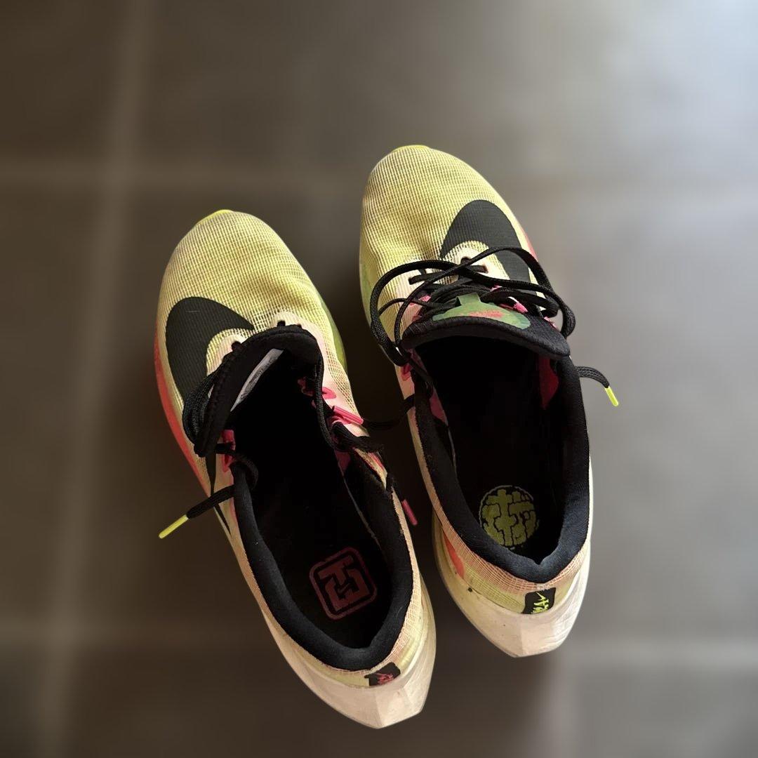 Nike ズームフライ5