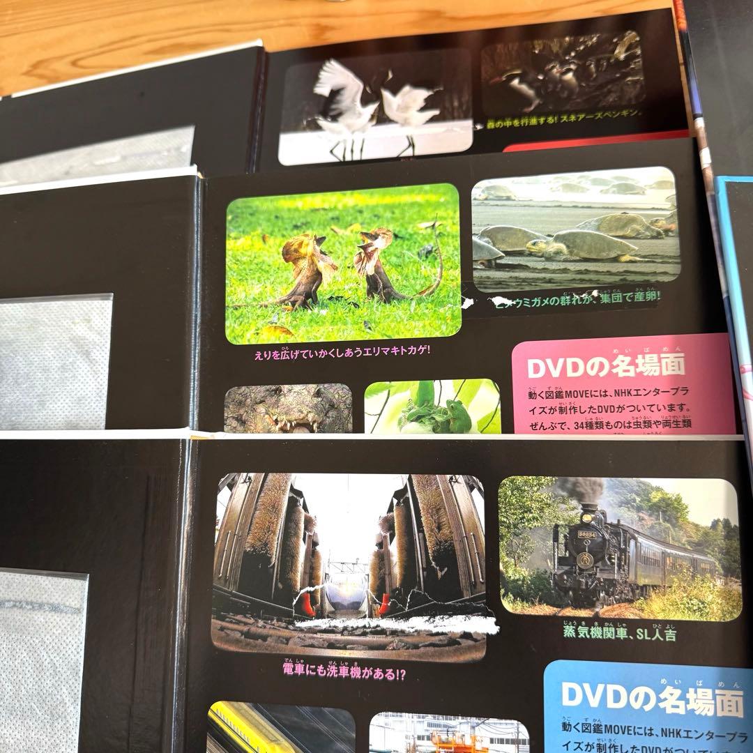 図鑑move 図鑑move mini セット 合計20冊 DVDなし 図鑑のみ