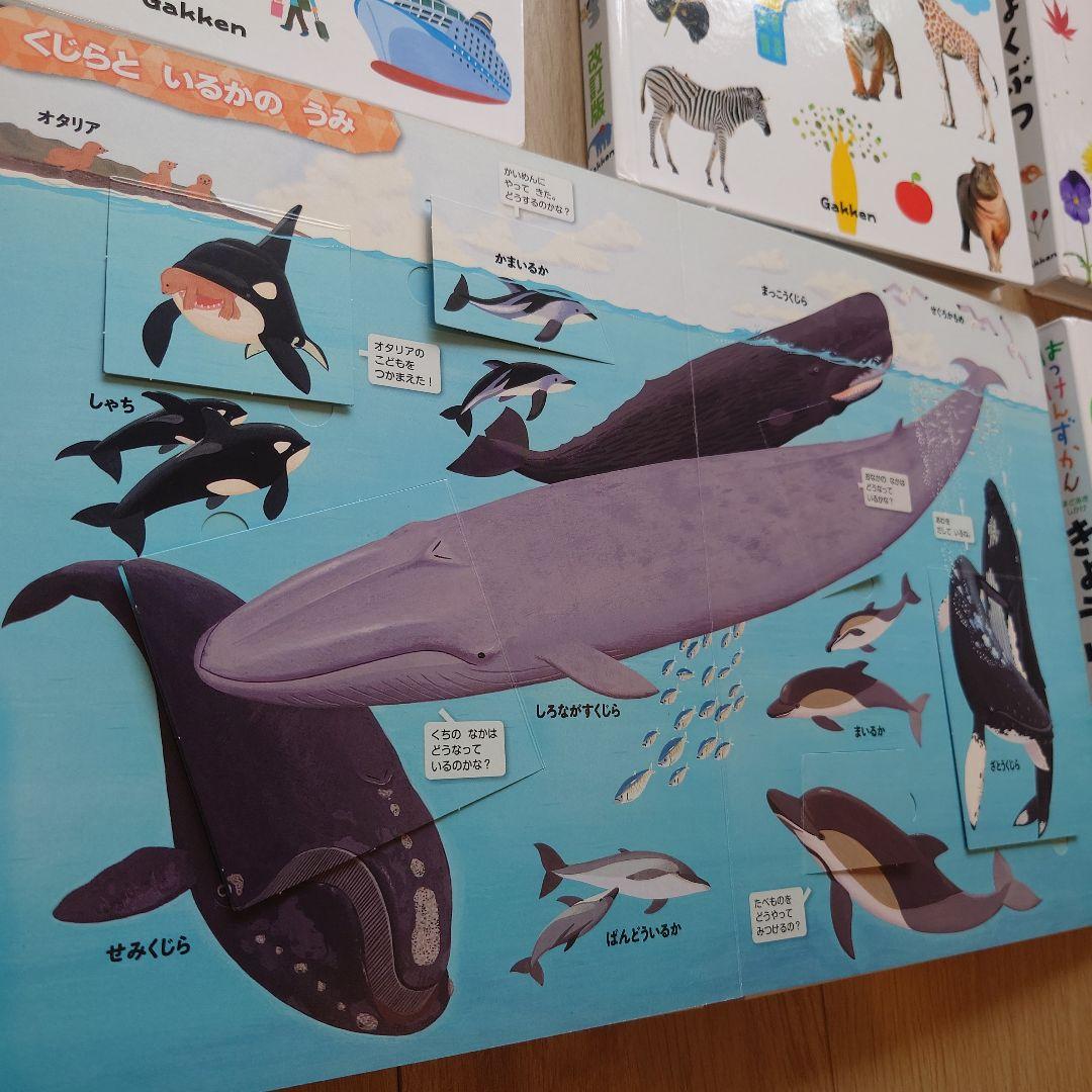 はっけんずかん 7冊セット