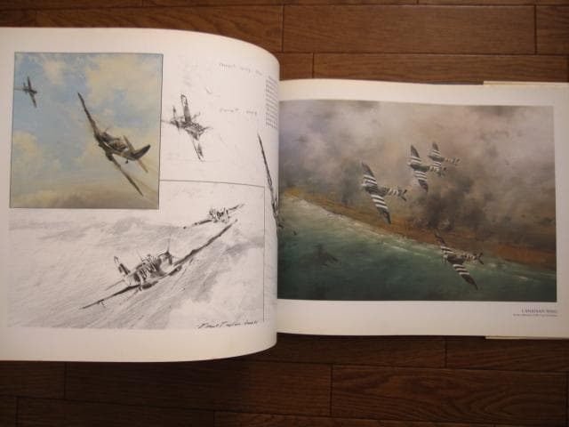 アート・デザイン・音楽 AIR COMBAT PAINTINGS OF ROBERT TAYLOR
