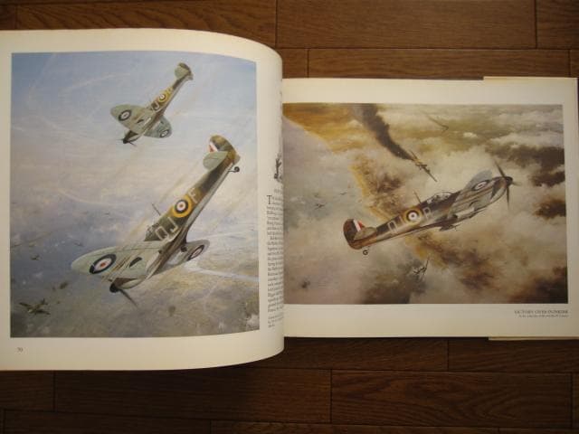 アート・デザイン・音楽 AIR COMBAT PAINTINGS OF ROBERT TAYLOR