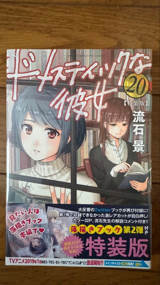 ドメスティックな彼女　特装版