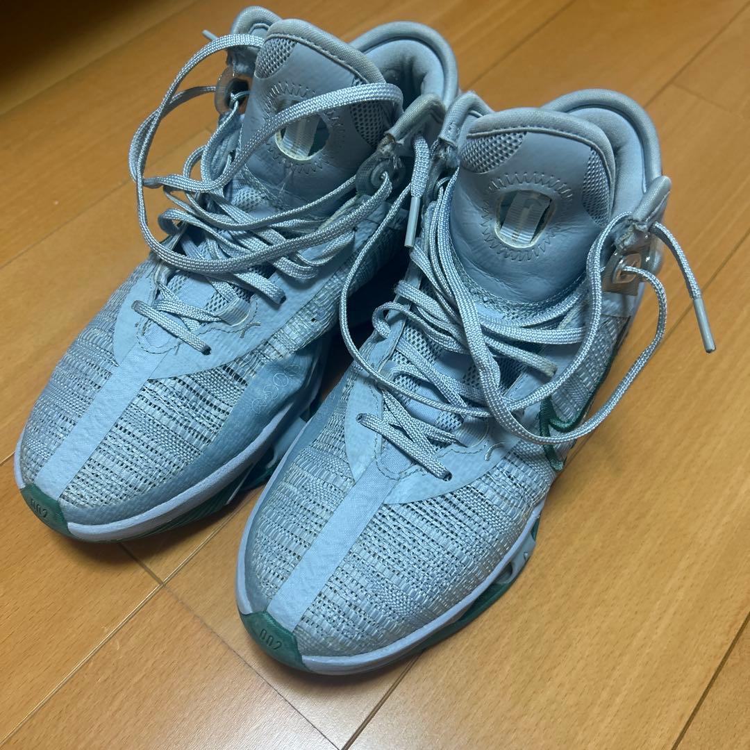 Nike GTジャンプ25cm
