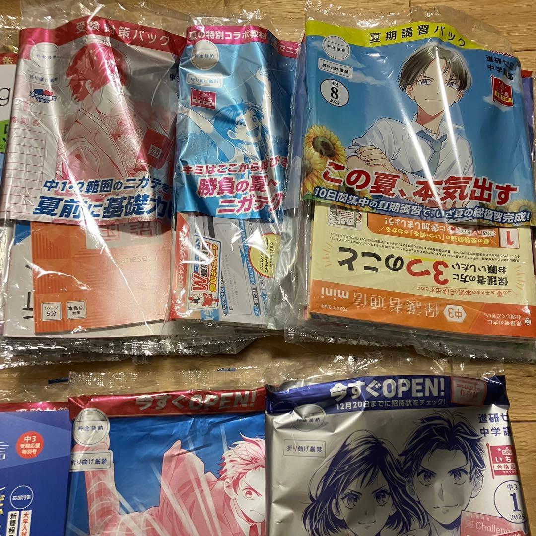 チャレンジ中学3年生 10ヶ月分セット