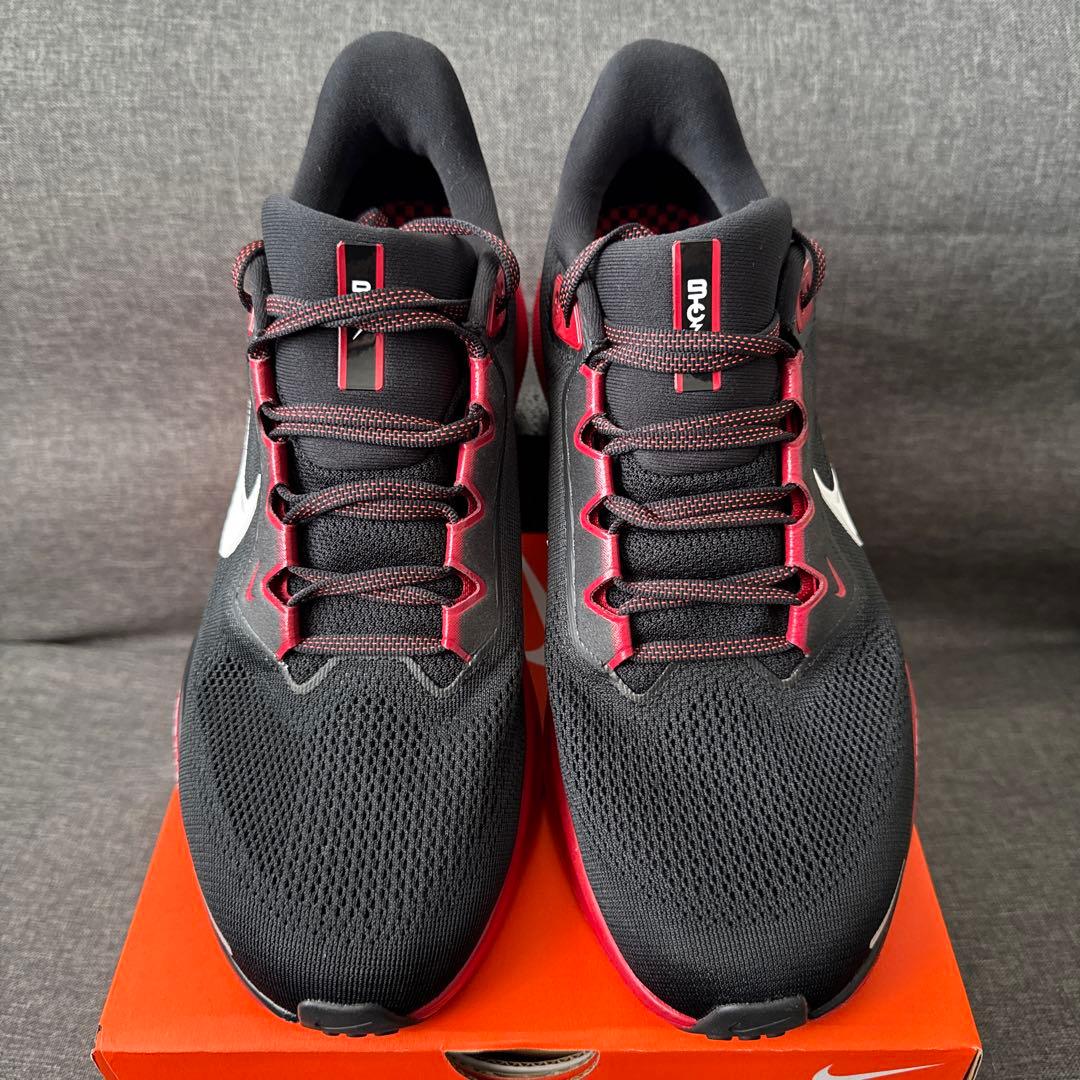 ペガサス 41 NIKE ナイキ 28.5cm