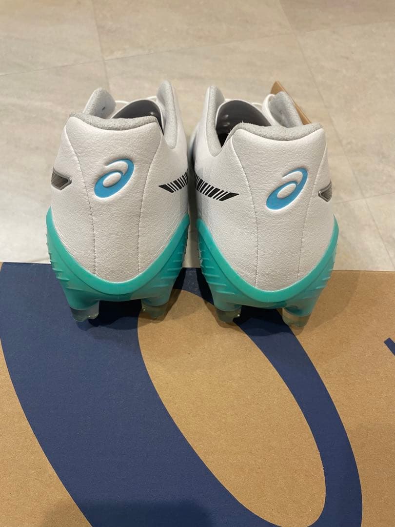 DS LIGHT X-FLY 5 LIMITED 27.5cm 【asics】