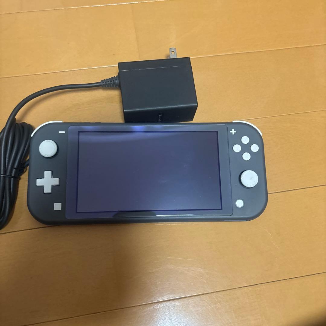 Nintendo Switch Lite 本体 充電器付き