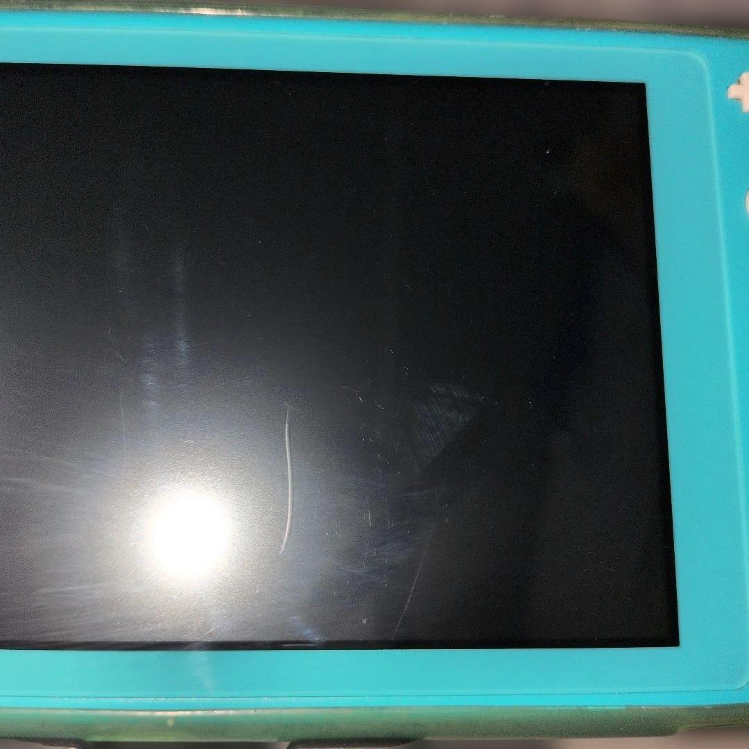 Switch スイッチ ライト Lite ターコイズ 充電器 SDカード 付き