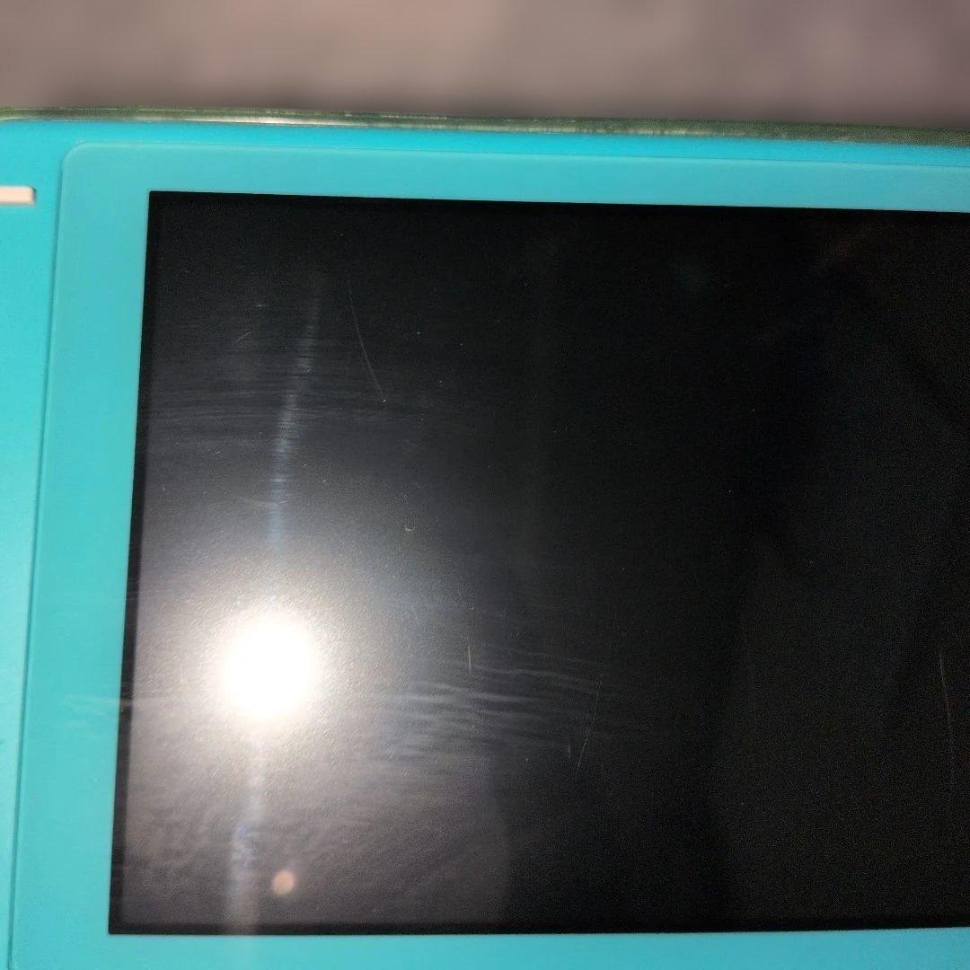 Switch スイッチ ライト Lite ターコイズ 充電器 SDカード 付き