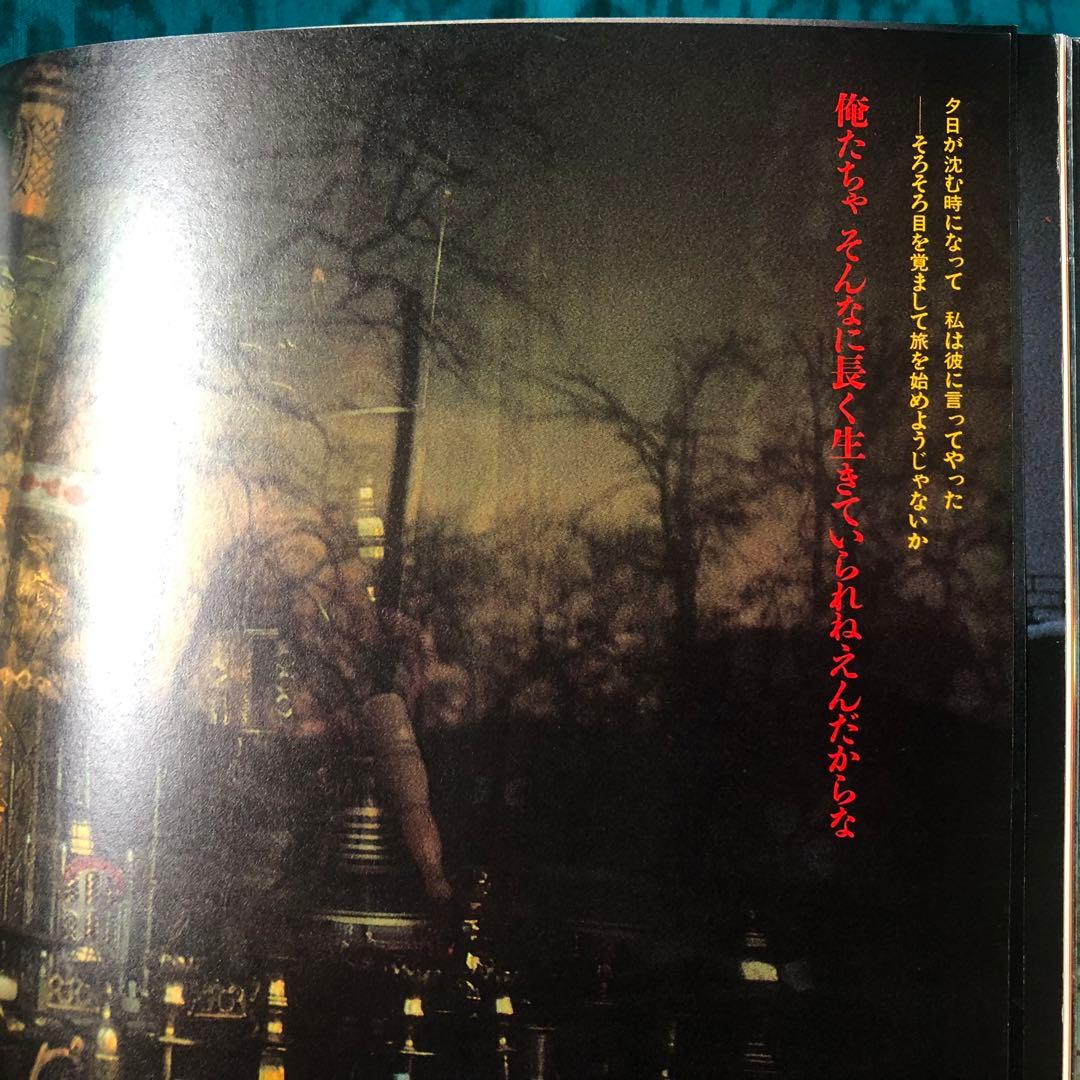 【絶版・希少】全東洋街道　藤原新也　集英社　1981年　初版
