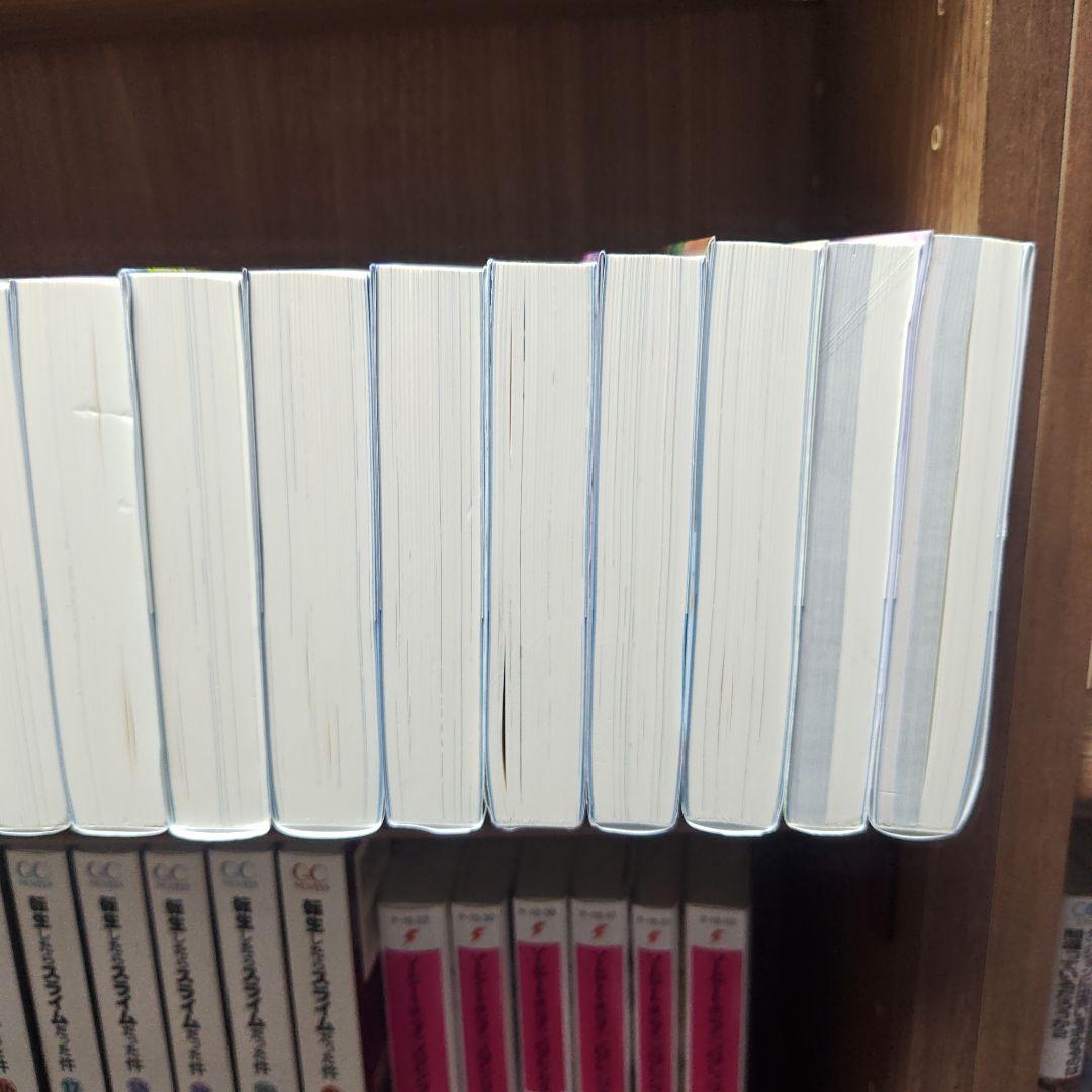 デスマーチからはじまる異世界狂想曲11〜 31巻＋番外編２冊