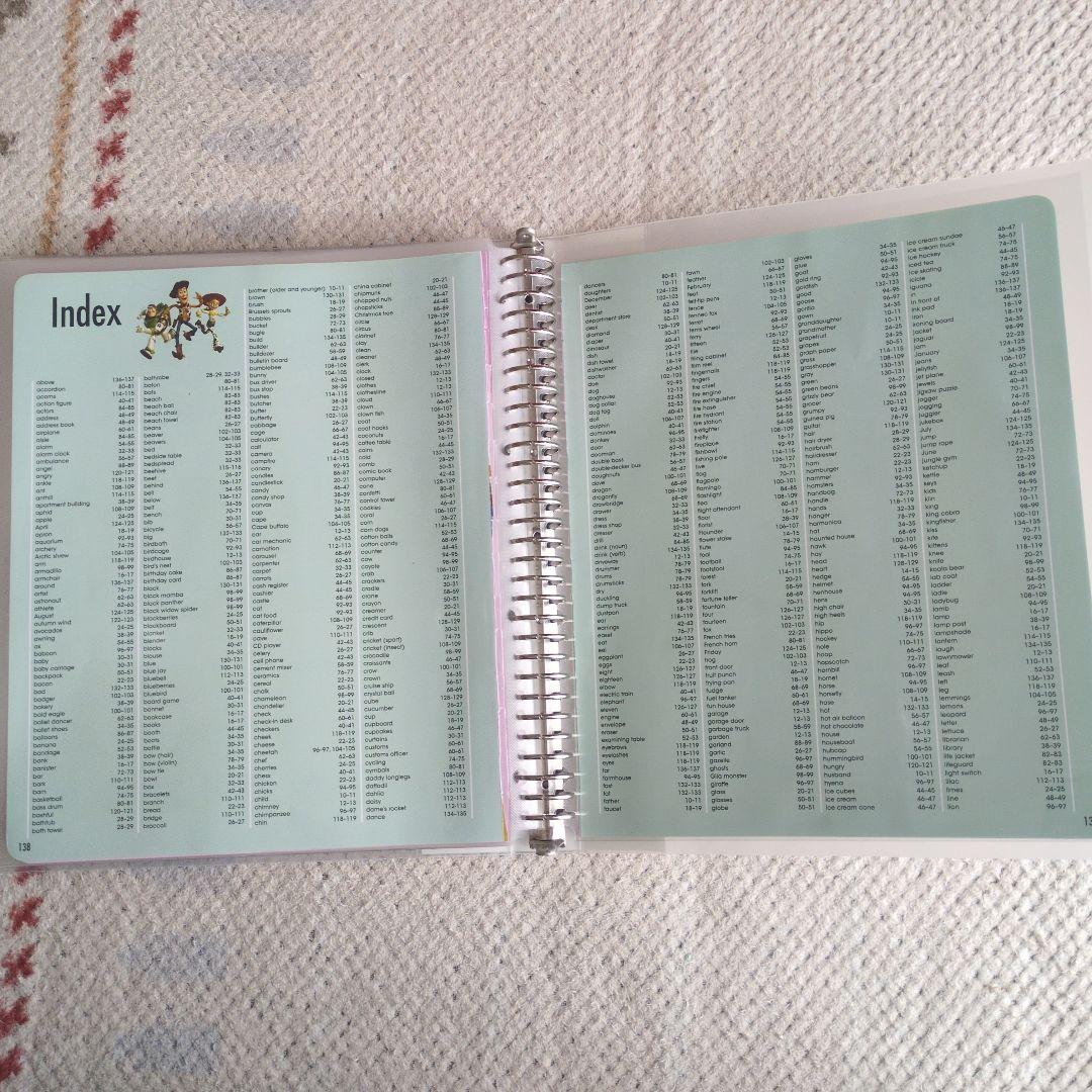 DWE MyBigBookofWords セット売り 絵本 英語 単語