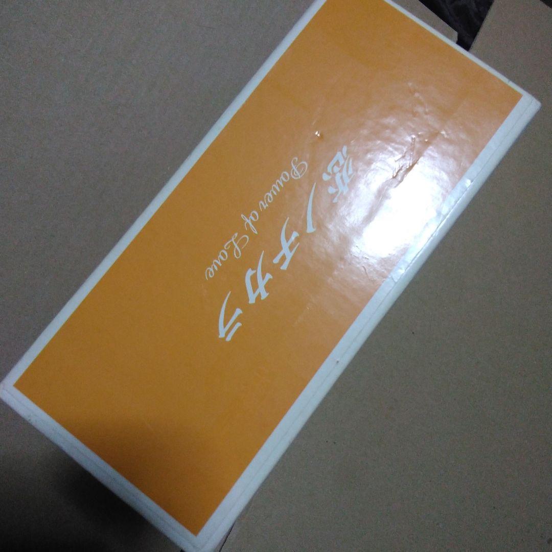 恋ノチカラ Power of Love DVD　セット　日曜日限定値下げ