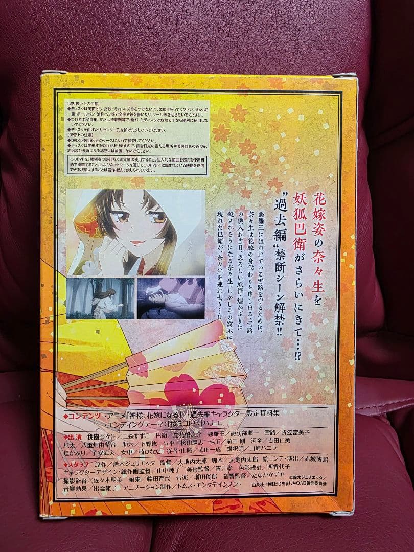 神様はじめました 24巻 オリジナルアニメ DVD付き限定版