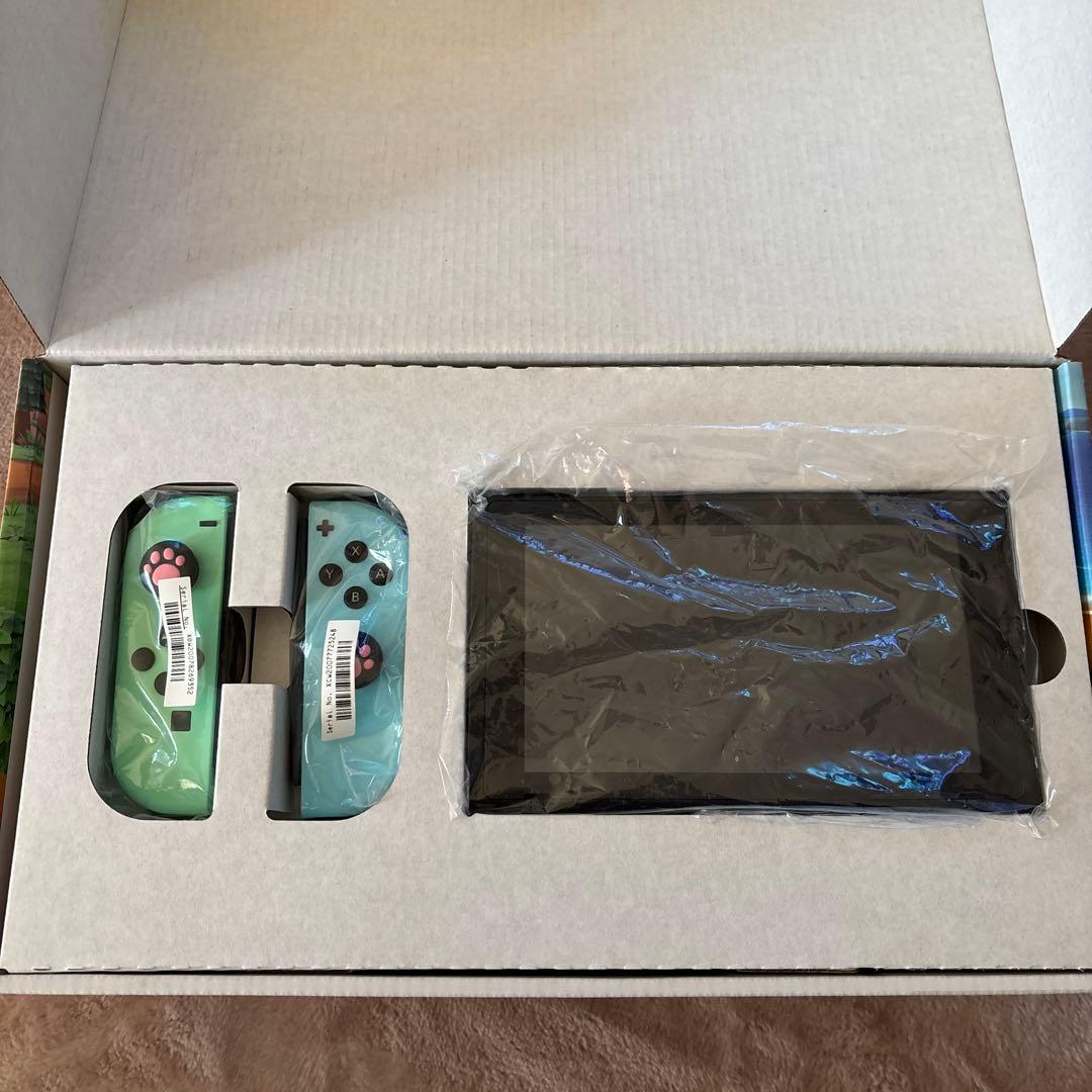 Nintendo Switch あつまれ どうぶつの森