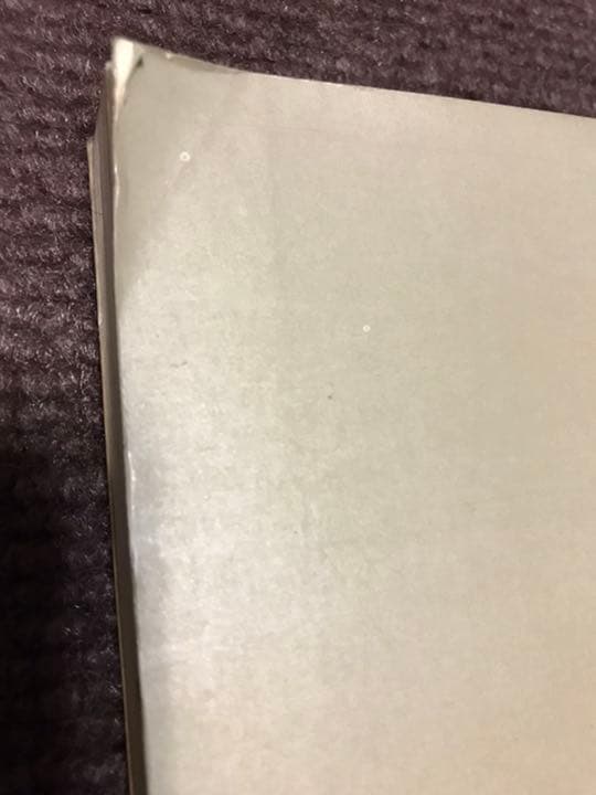 おおくぼひさこ『RCサクセション写真集』
