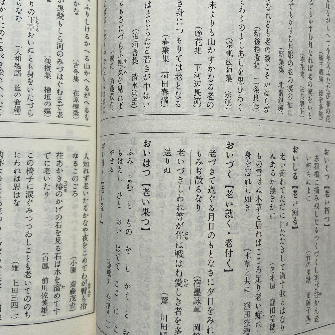 日本歌語事典 佐佐木幸綱 杉山康彦 林巨樹 編