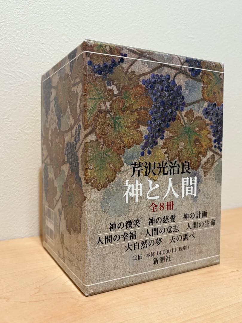 神と人間 芹沢光治良 全8冊 セット