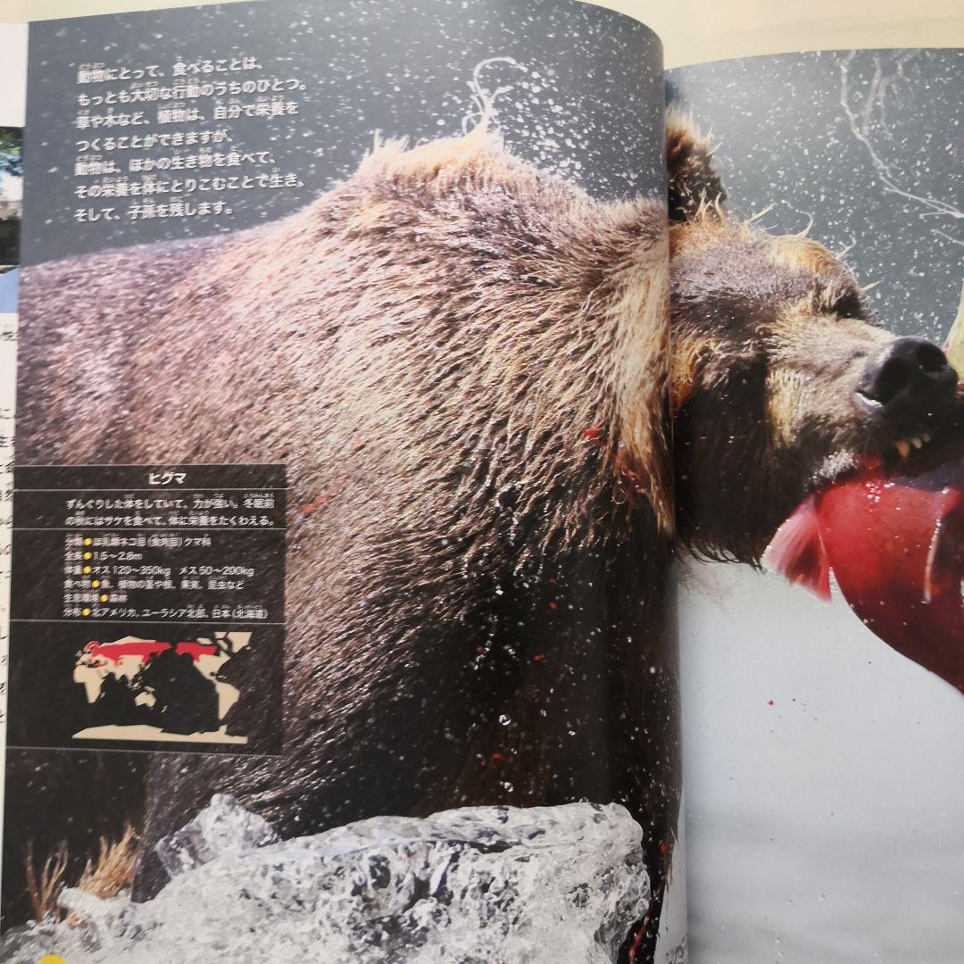 動物のちえ　全5冊セット