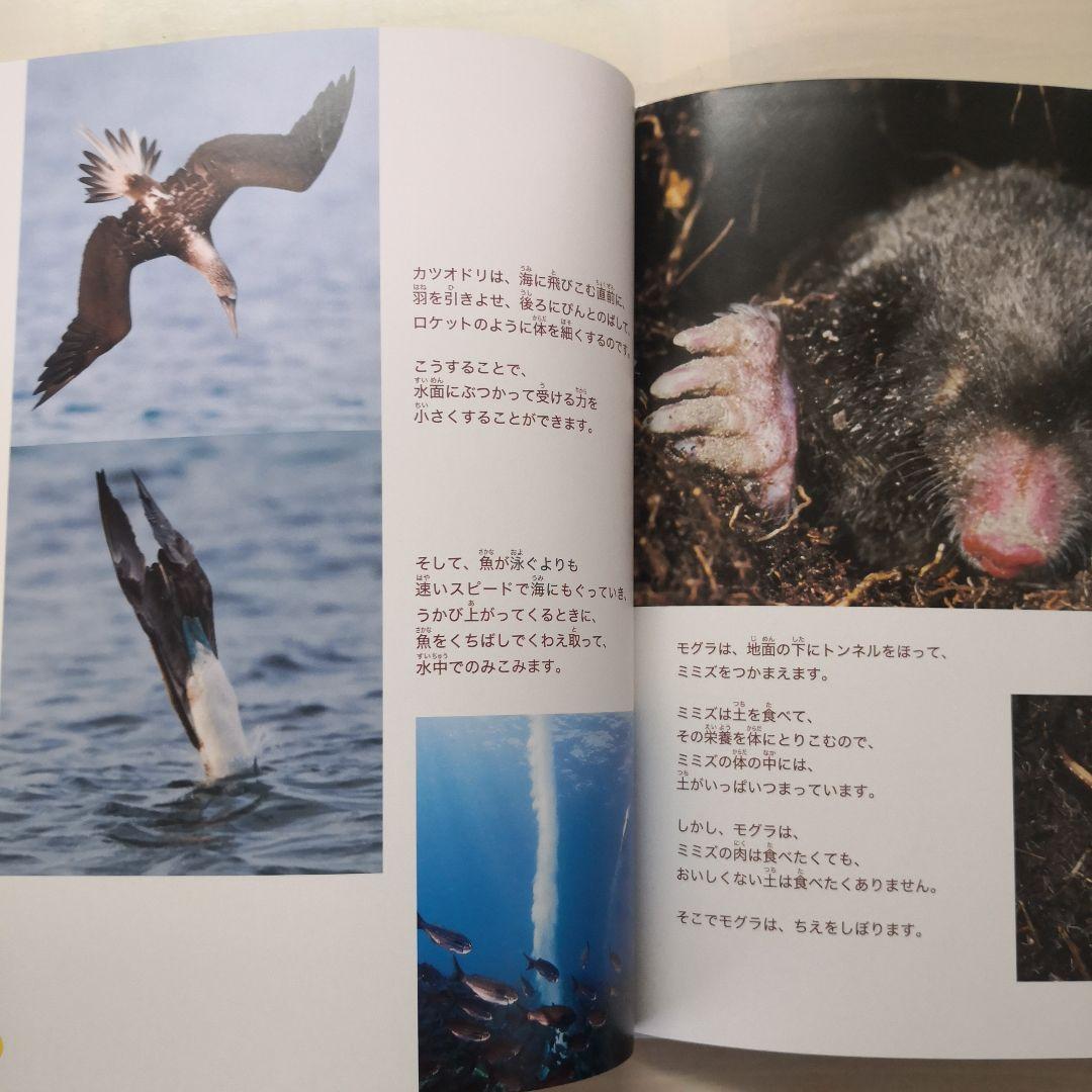 動物のちえ　全5冊セット
