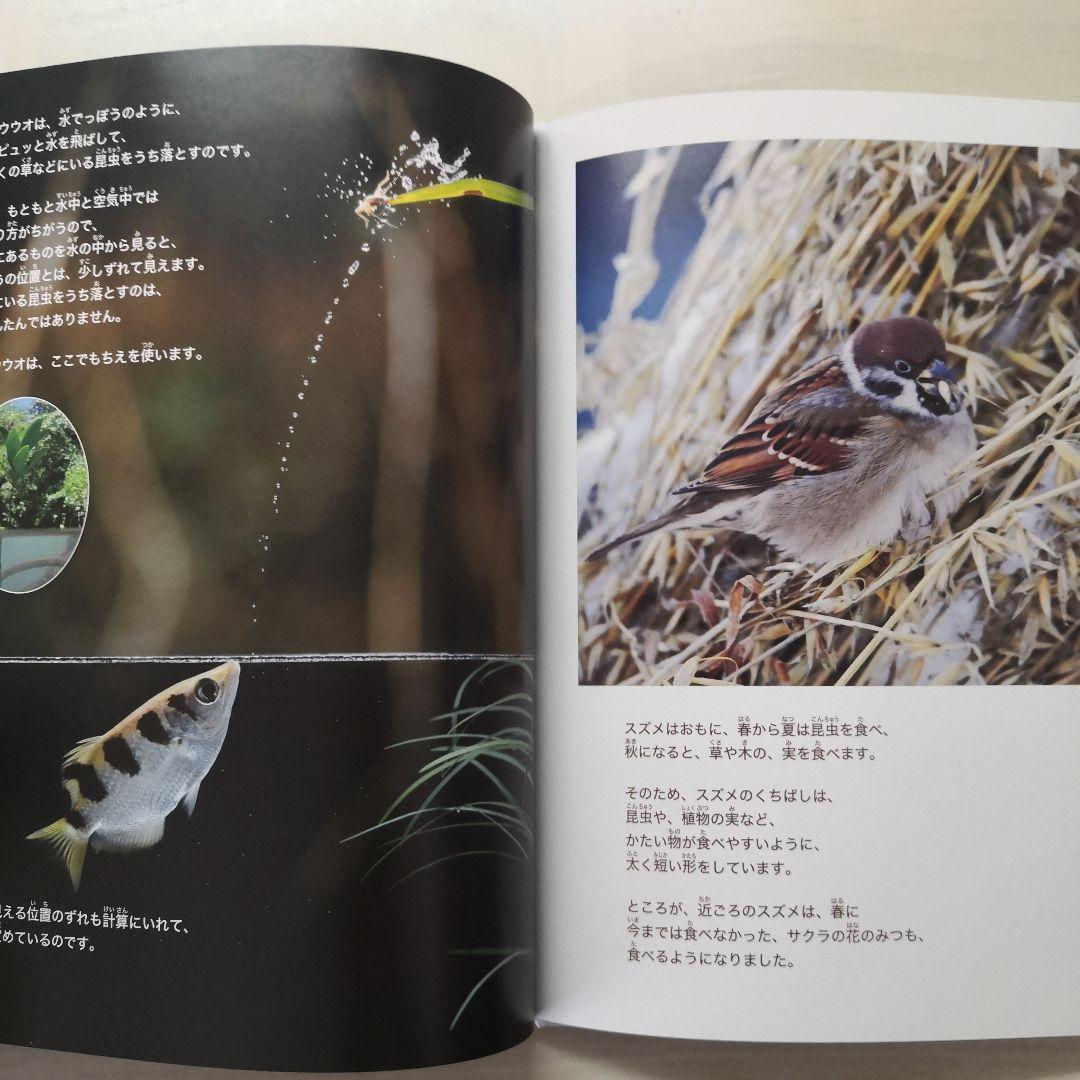動物のちえ　全5冊セット