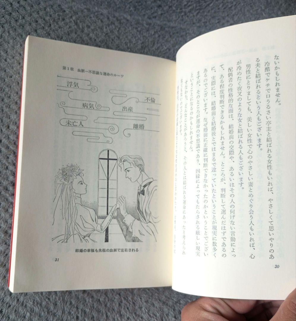 【希少】霊界透視―あの世から導かれる幸福への道