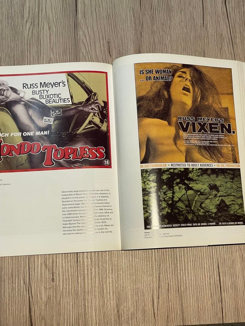 カルト映画ポスター集／ヴィンテージデザイン／サブカルチャー資料 洋書